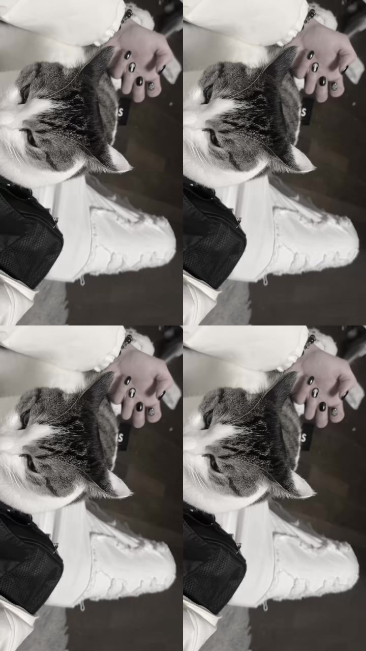 @麒麟🖤