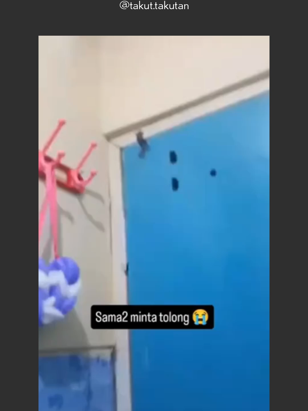 @takut.takutan
