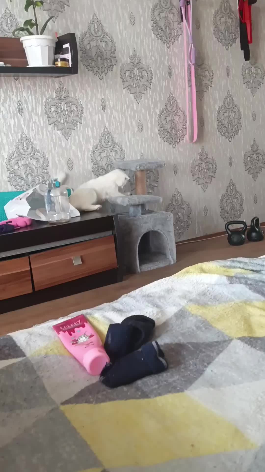 @Кристина Лаврик