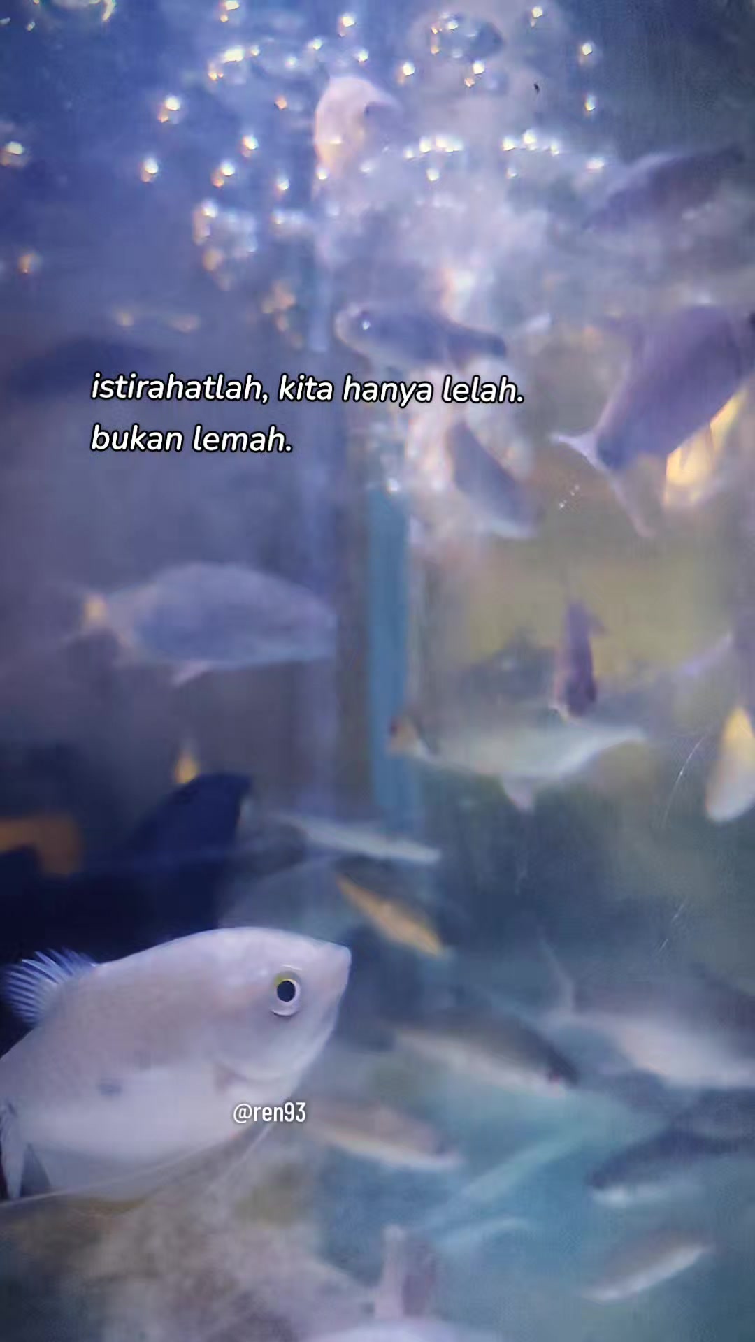 @Mas Ren