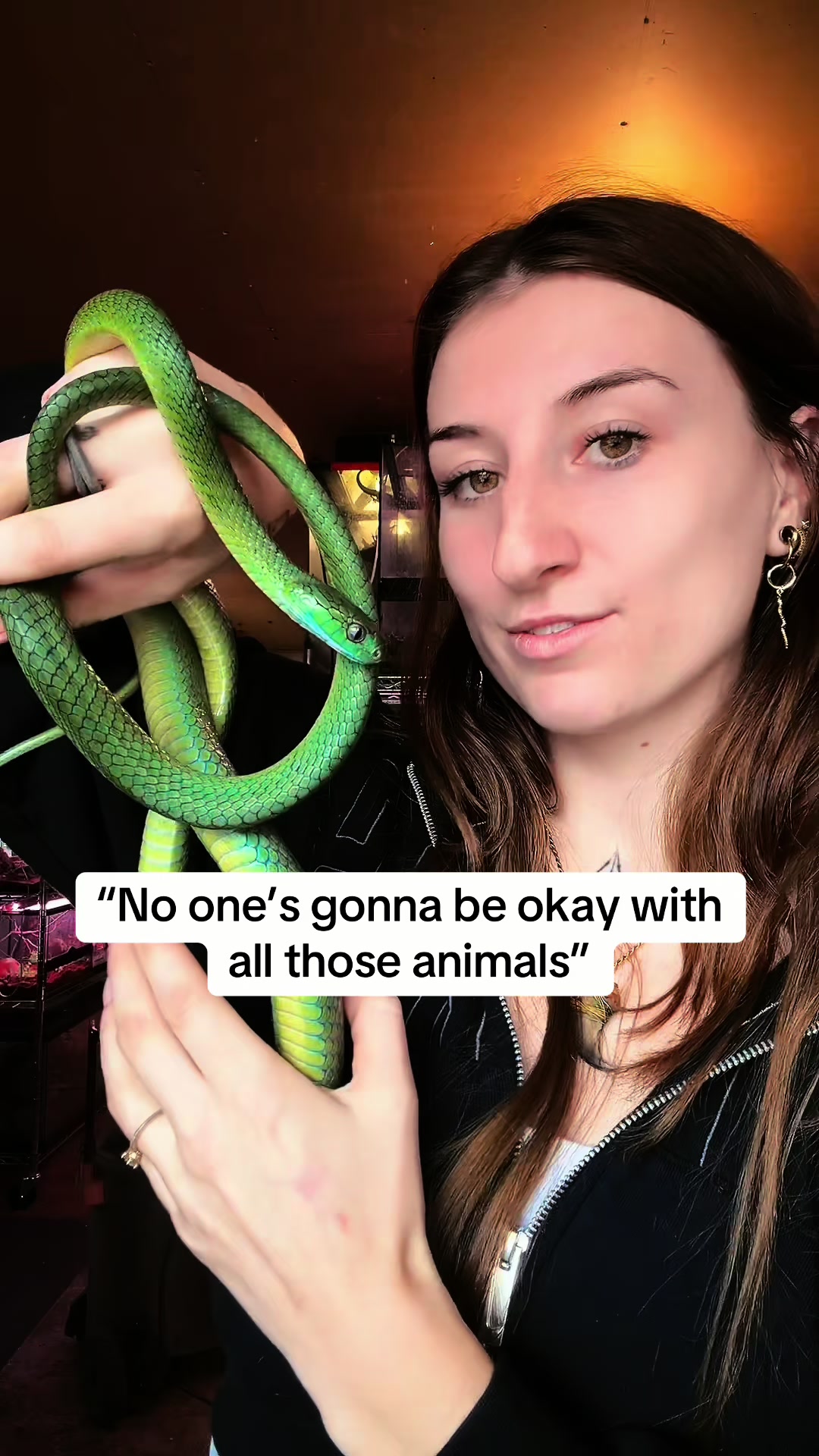 @Exotic Animals with Amanda