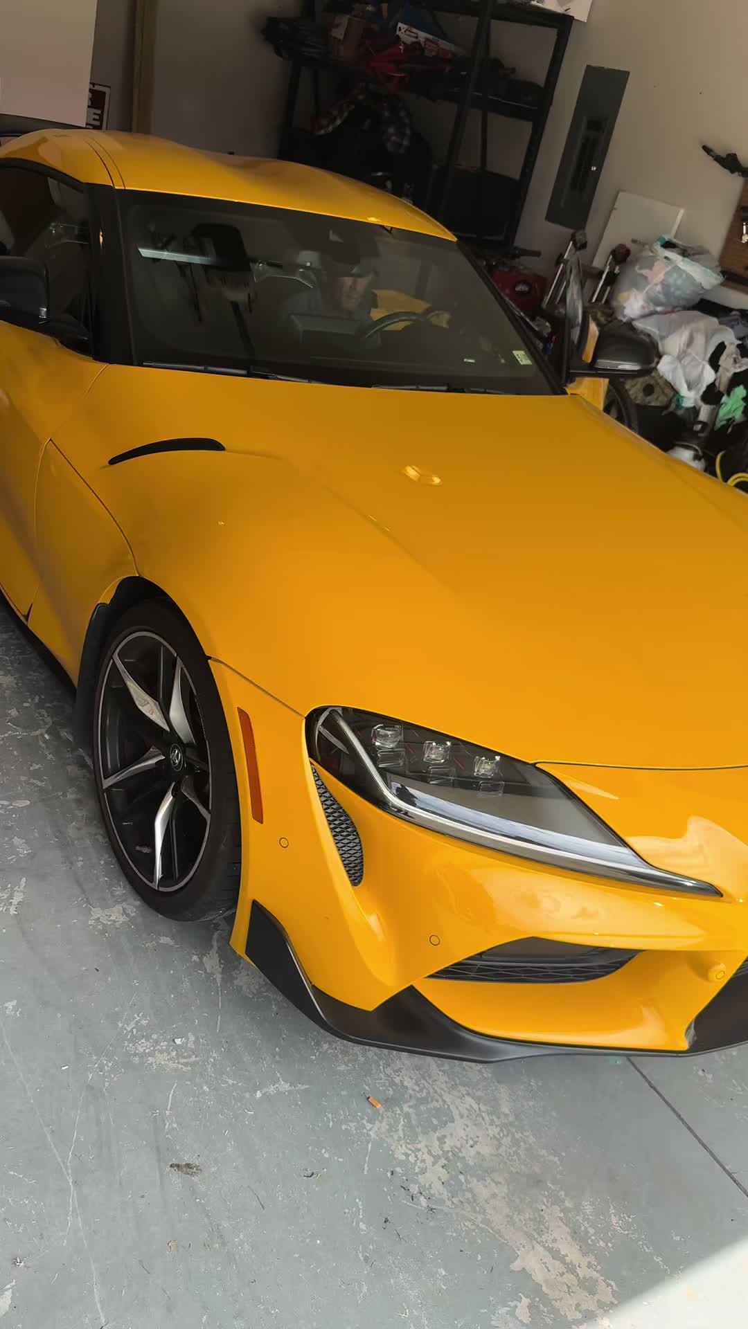 @Top&ensp;Dog&ensp;Detailing