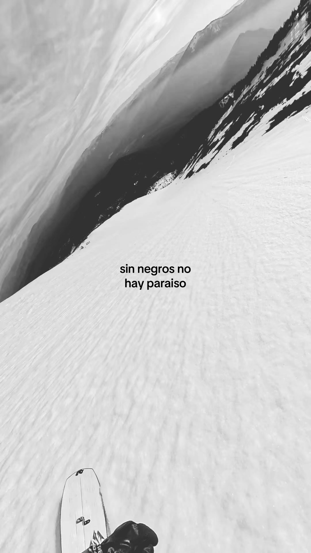 @🌴