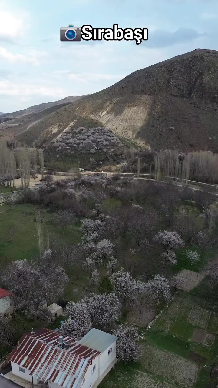 @hamit sırabaşı