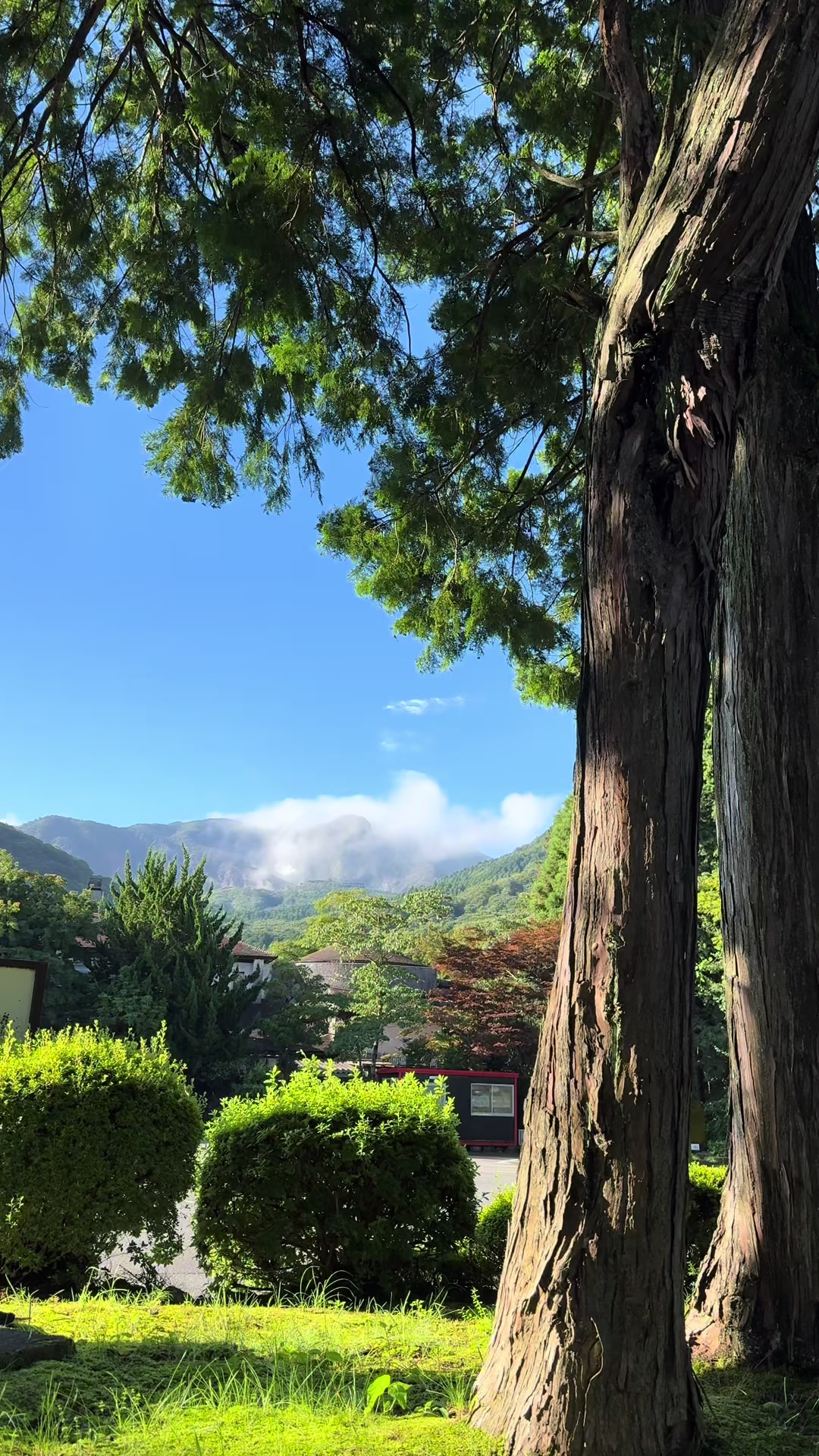 @japan.guidepal