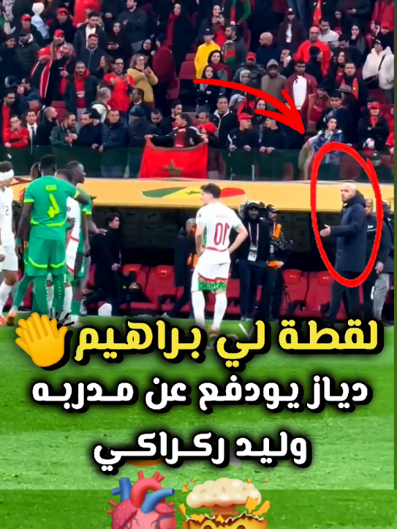 @تيم ميد_افس