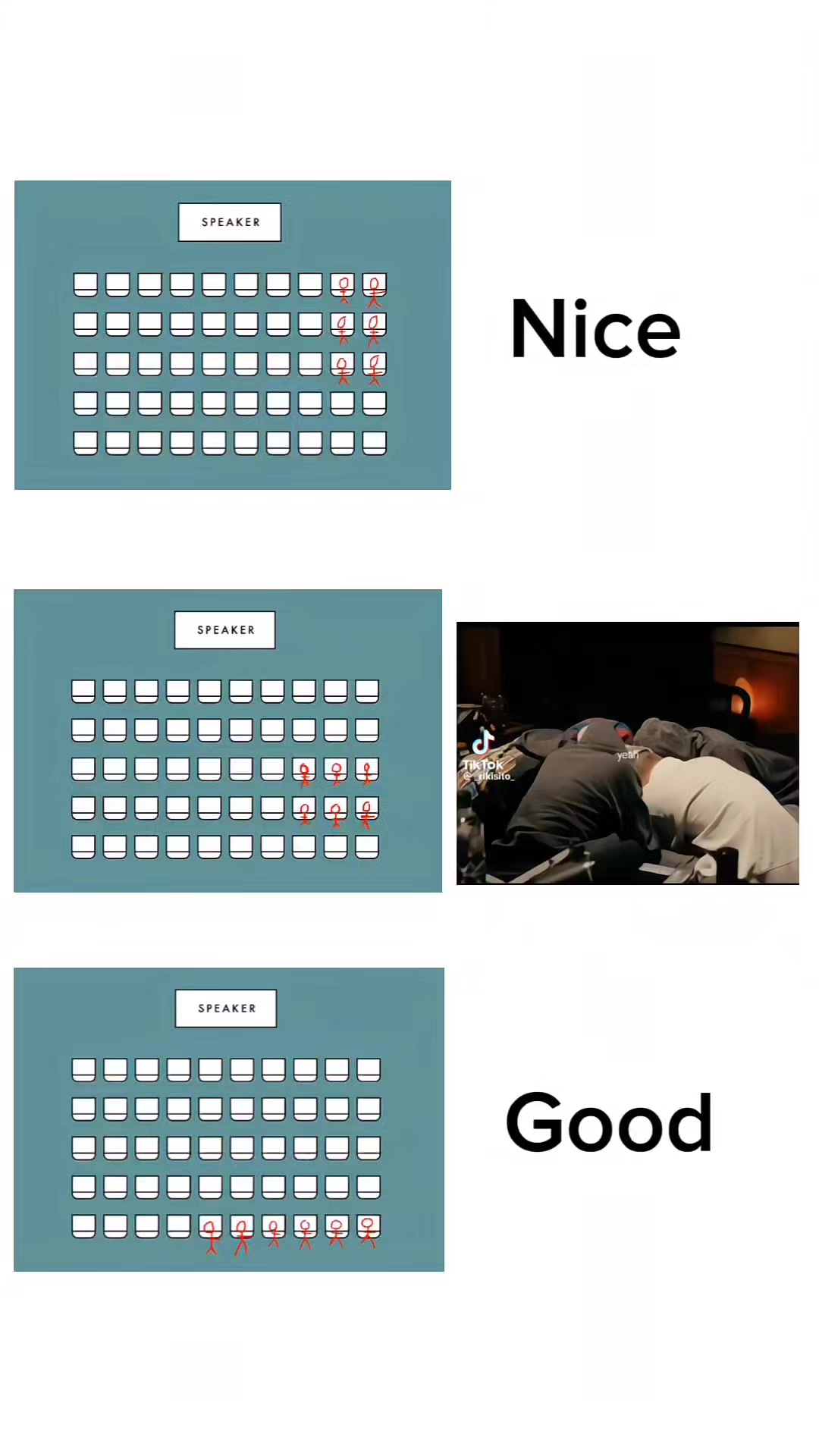 @Bugs (◍•ᴗ•◍)✧*。