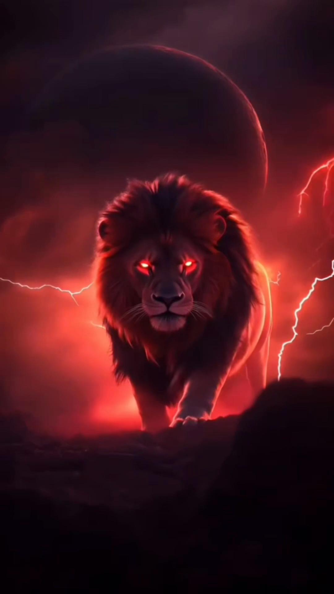 @AZİZCAN KÖKPINAR BEY 🇹🇷🦉