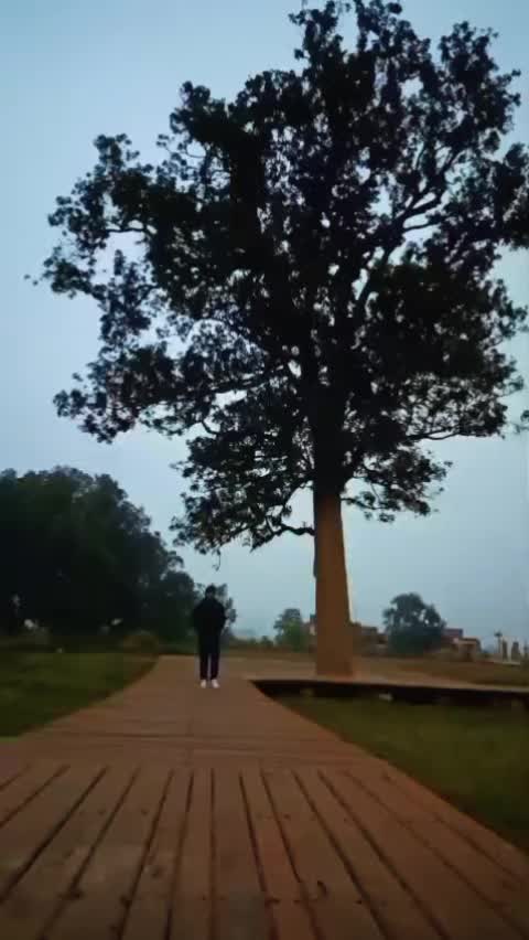 @Shrestha Damu