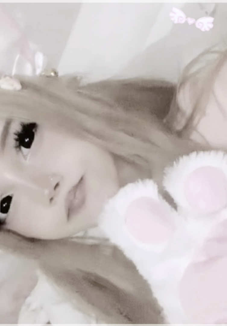 @bun 🐰