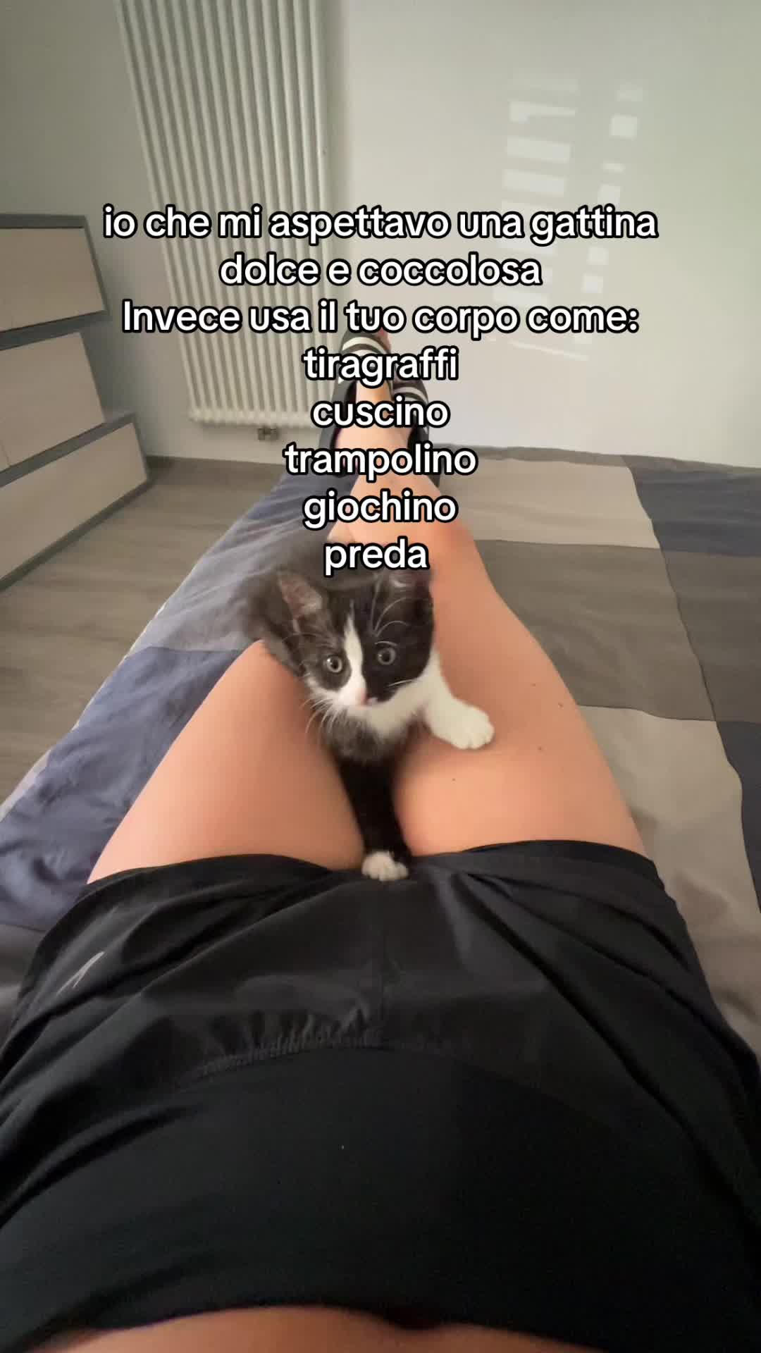 @alessiagiovannini
