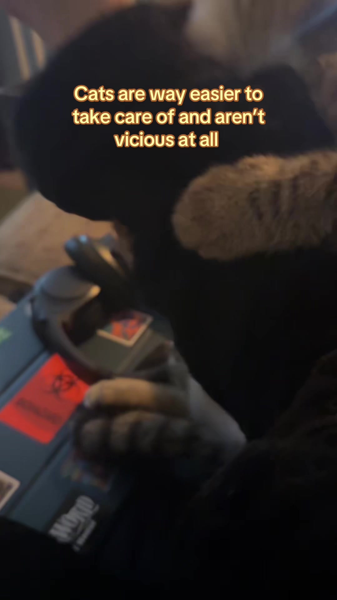 @Grey ✵ Artist