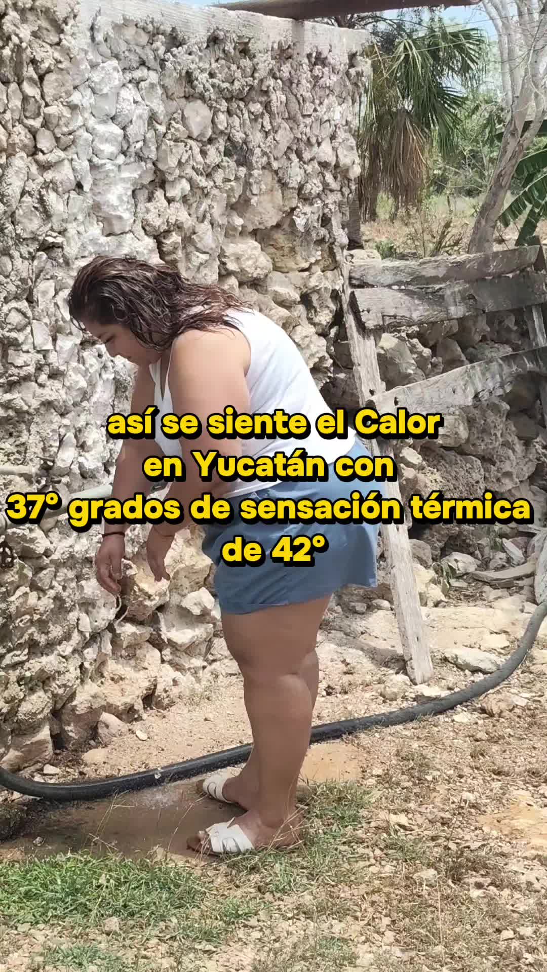@Zacil Balam