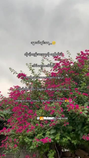 @✰ 𝙼𝚐 𝚉𝚊𝚠 𝟸𝟶𝟶𝟿 ᥫ᭡