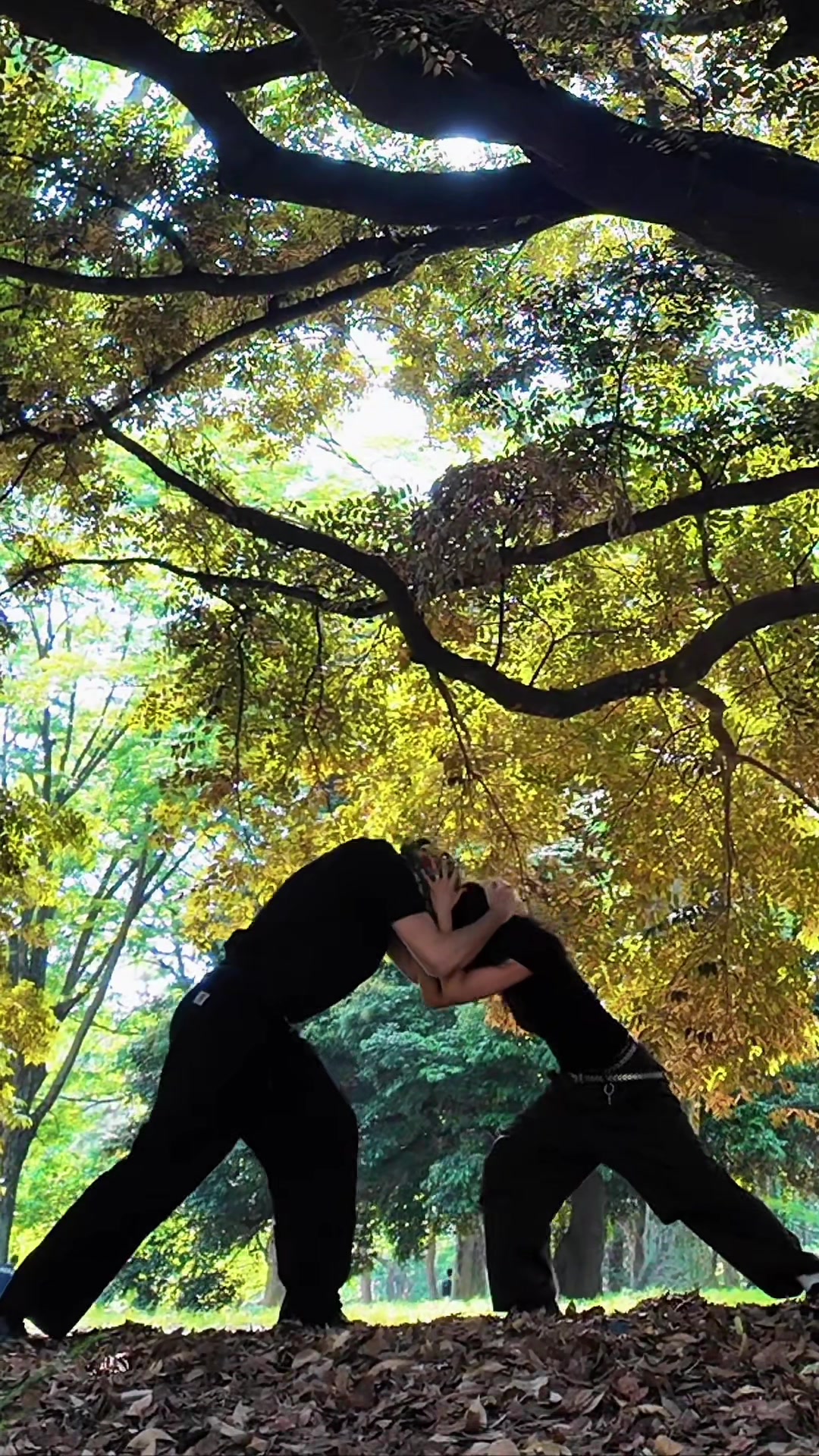 @Akanenmiyoshi