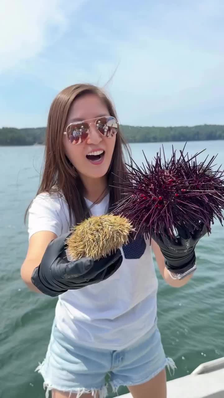@KIRBY | travel + food blogger