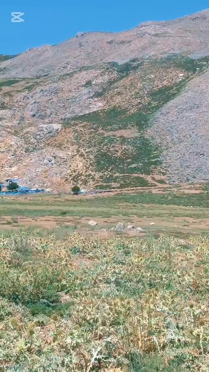@DAĞCI.46
