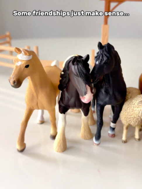 @Schleich Horse Club