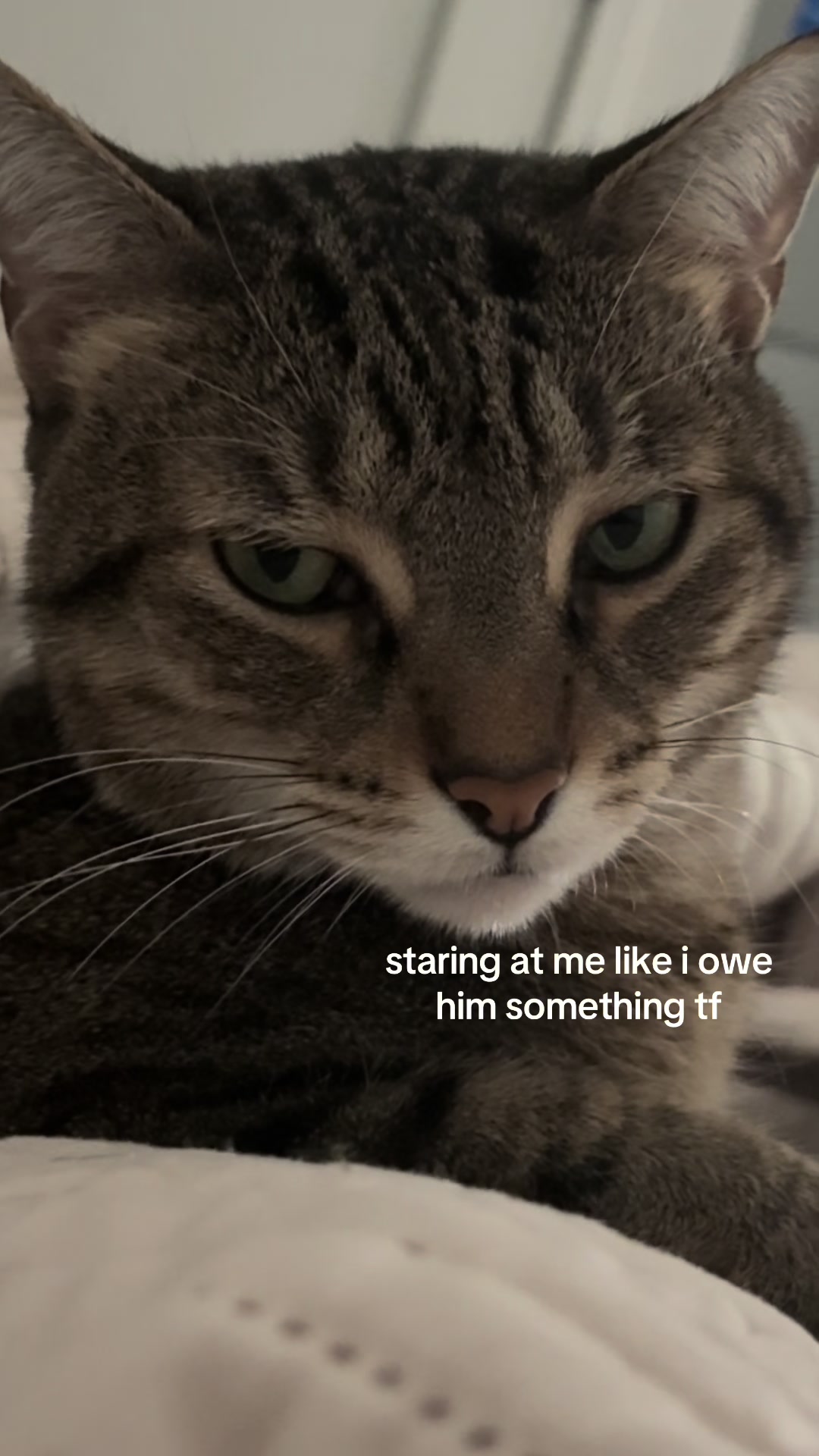 @Sherls