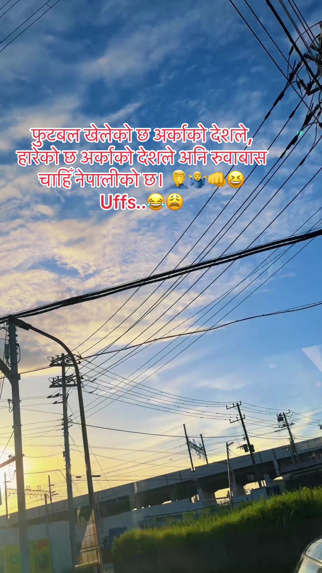 @🕊️