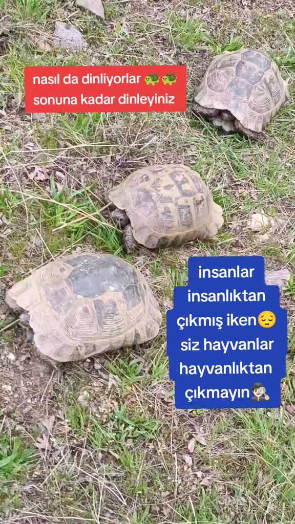 @doğa hayranı