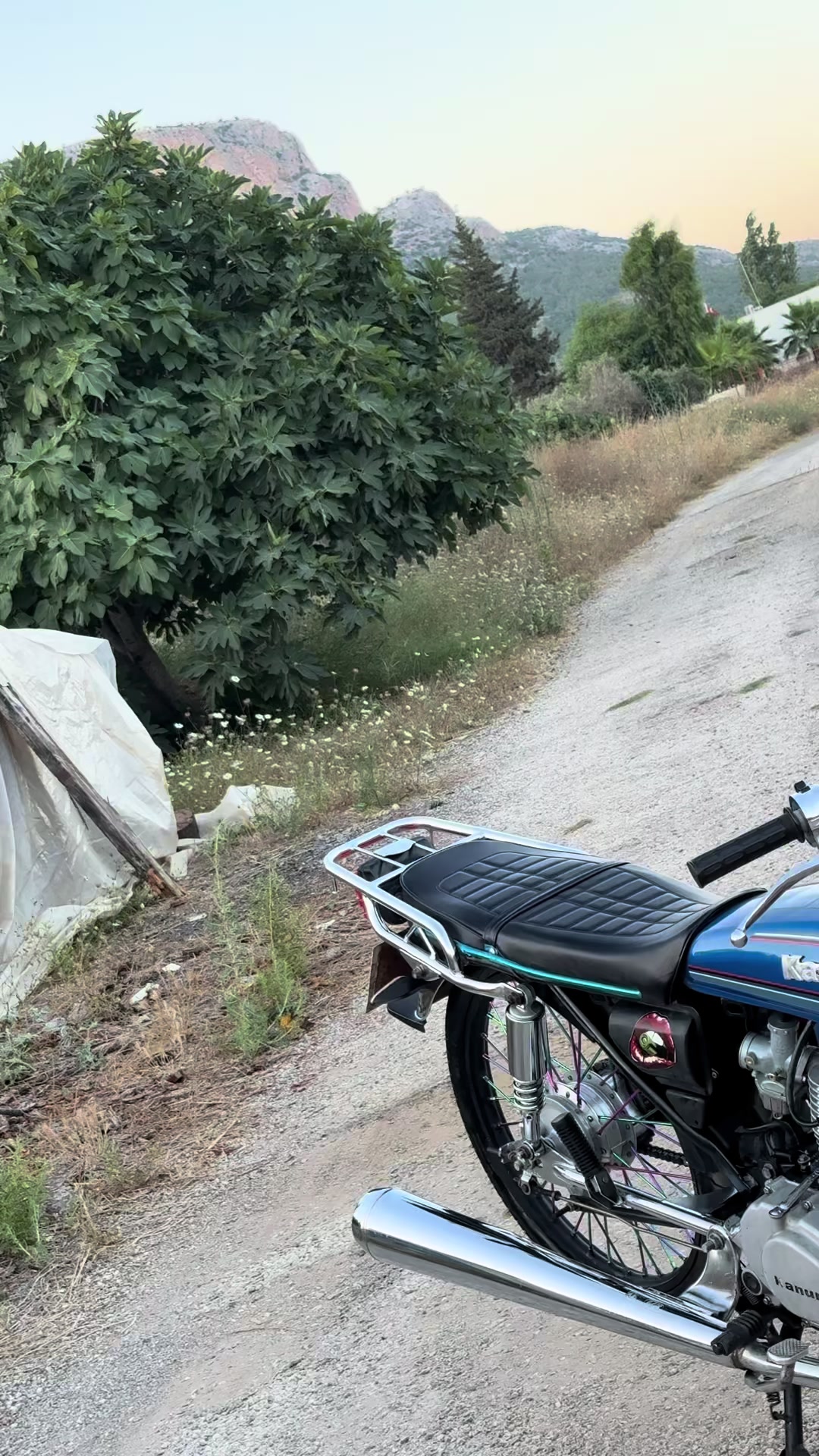 @kutlubulut0