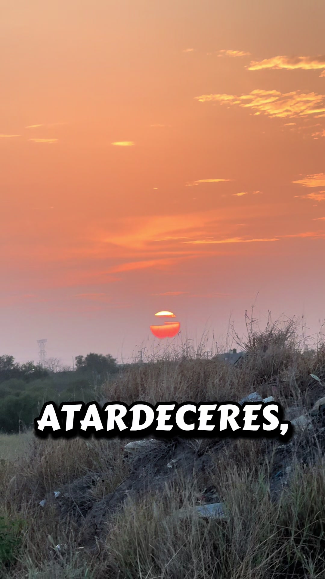 @Sol