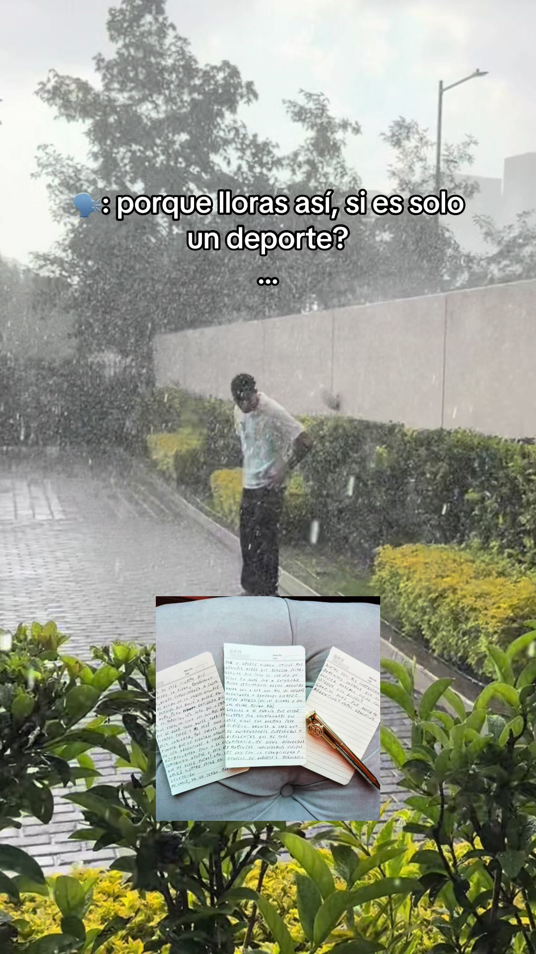 @Mateo🕷️