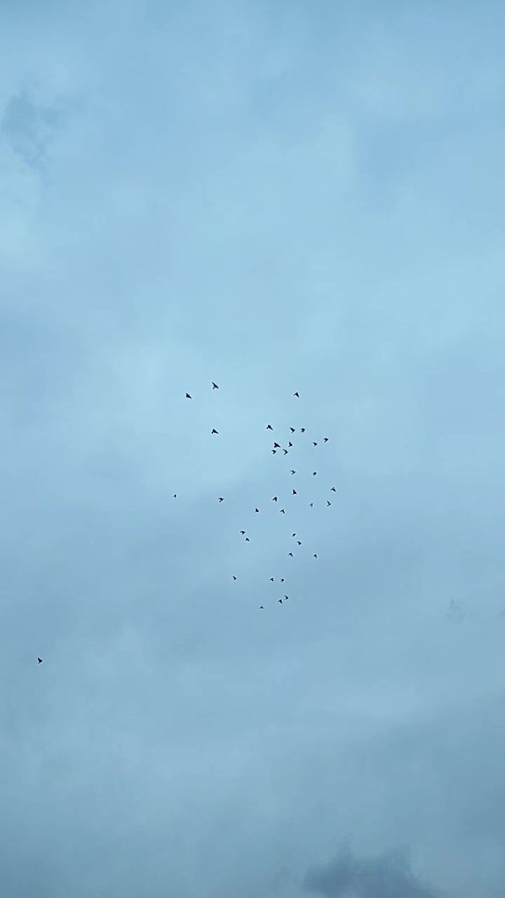 @Tevfik Erol