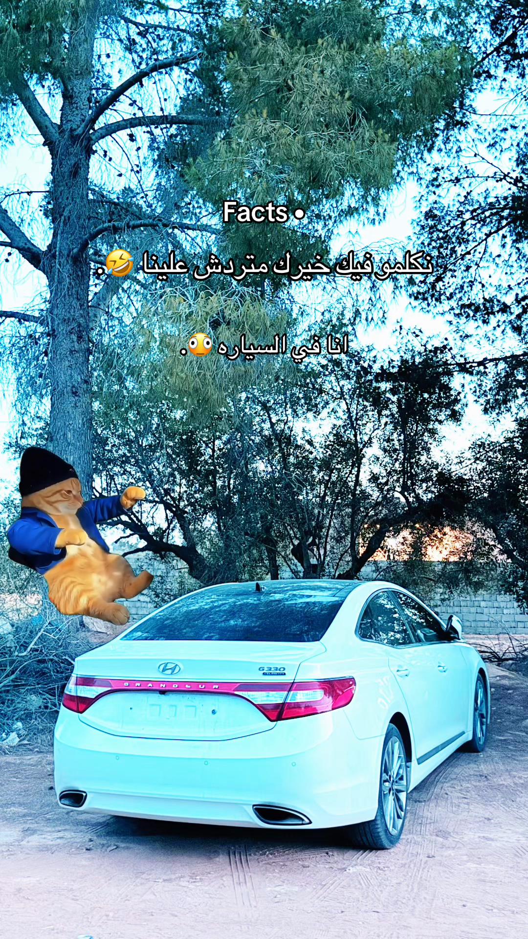 @Icc6.s