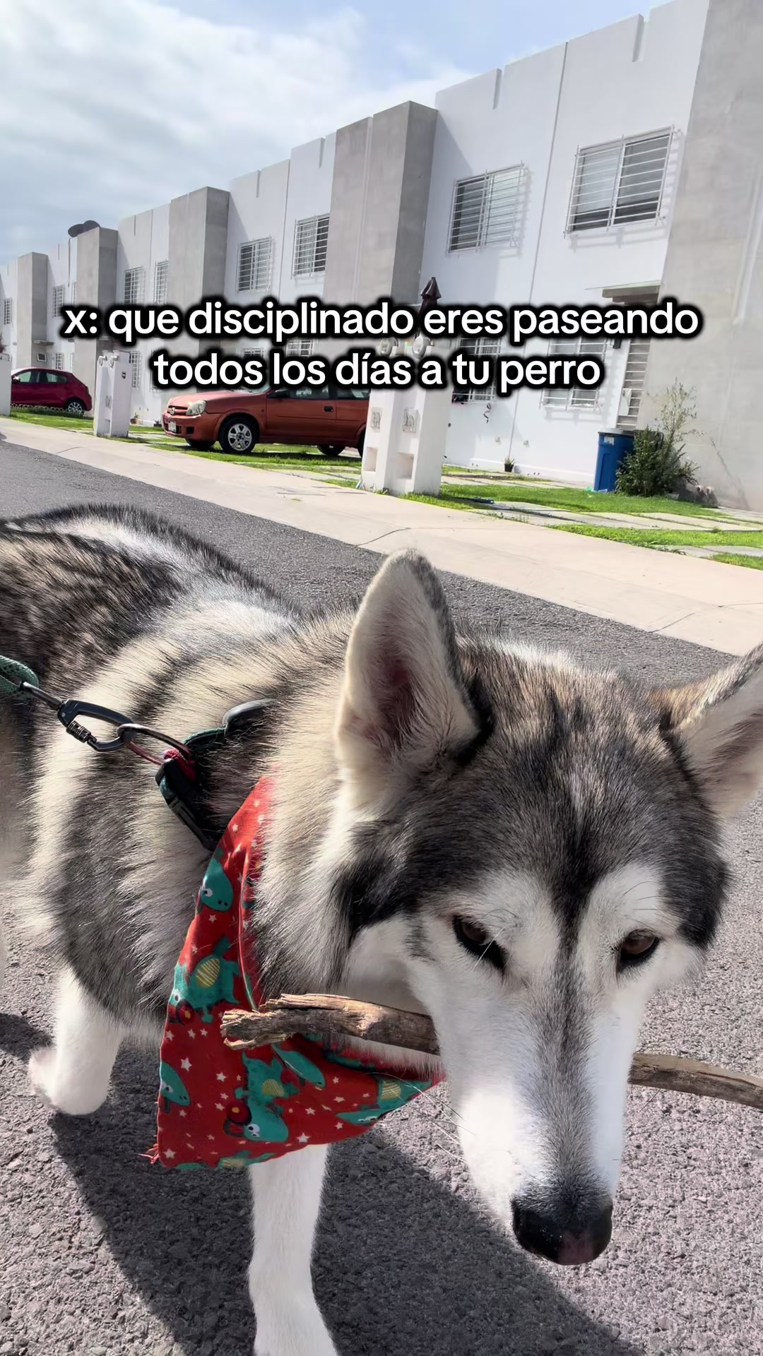 @KZ