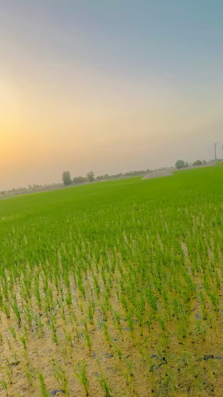 @Mian Azeem Aslam jodhyka