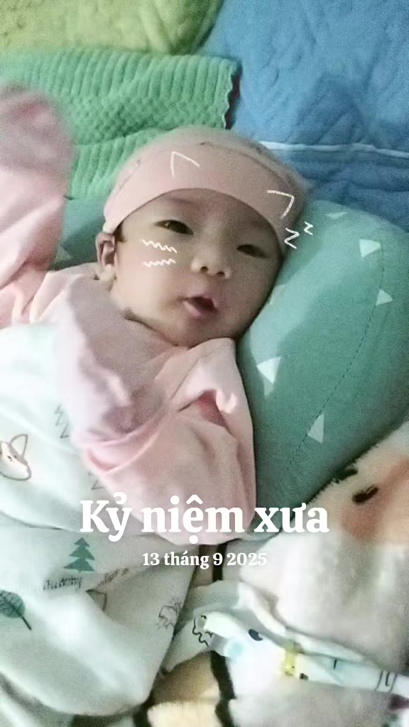 @❤️hoa núi rừng ❤️
