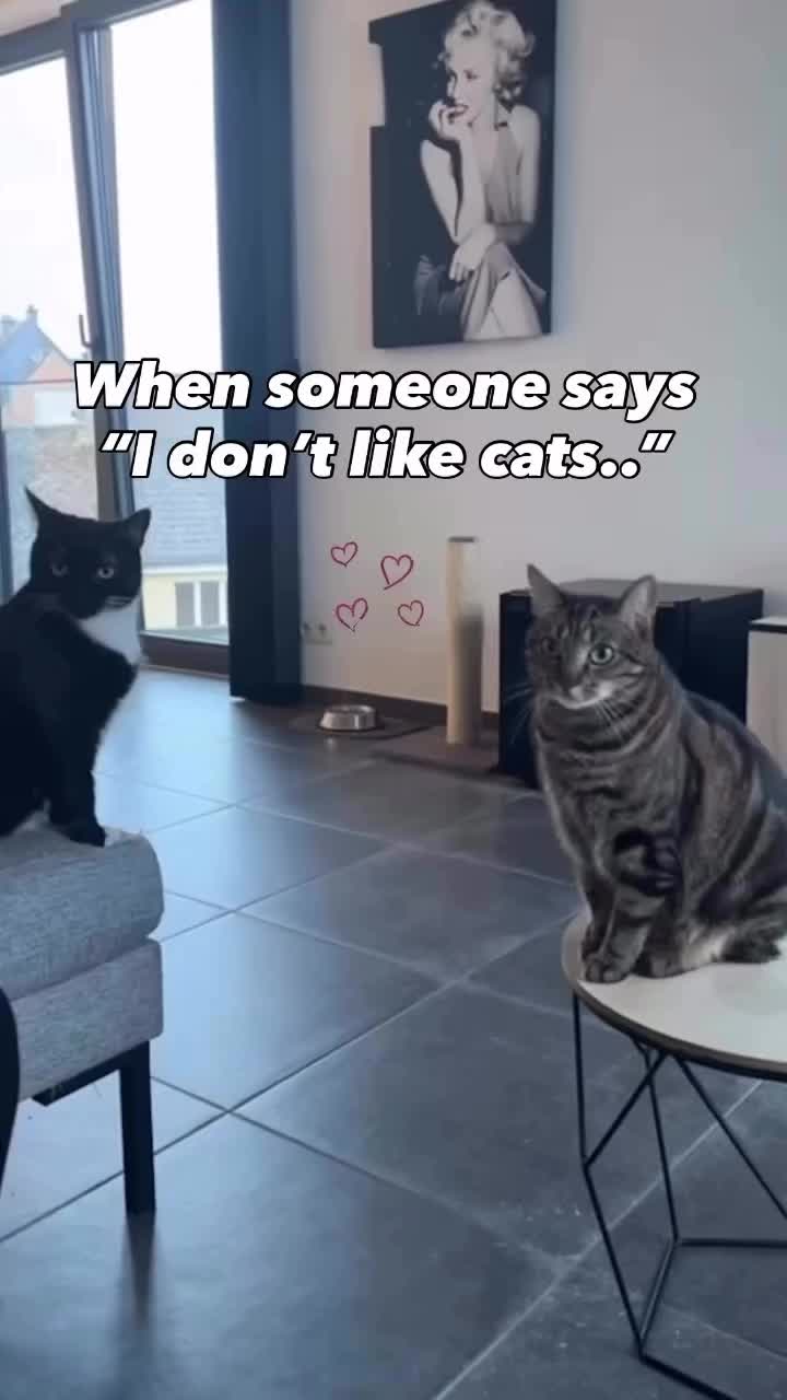 @Melissa De Leeuw