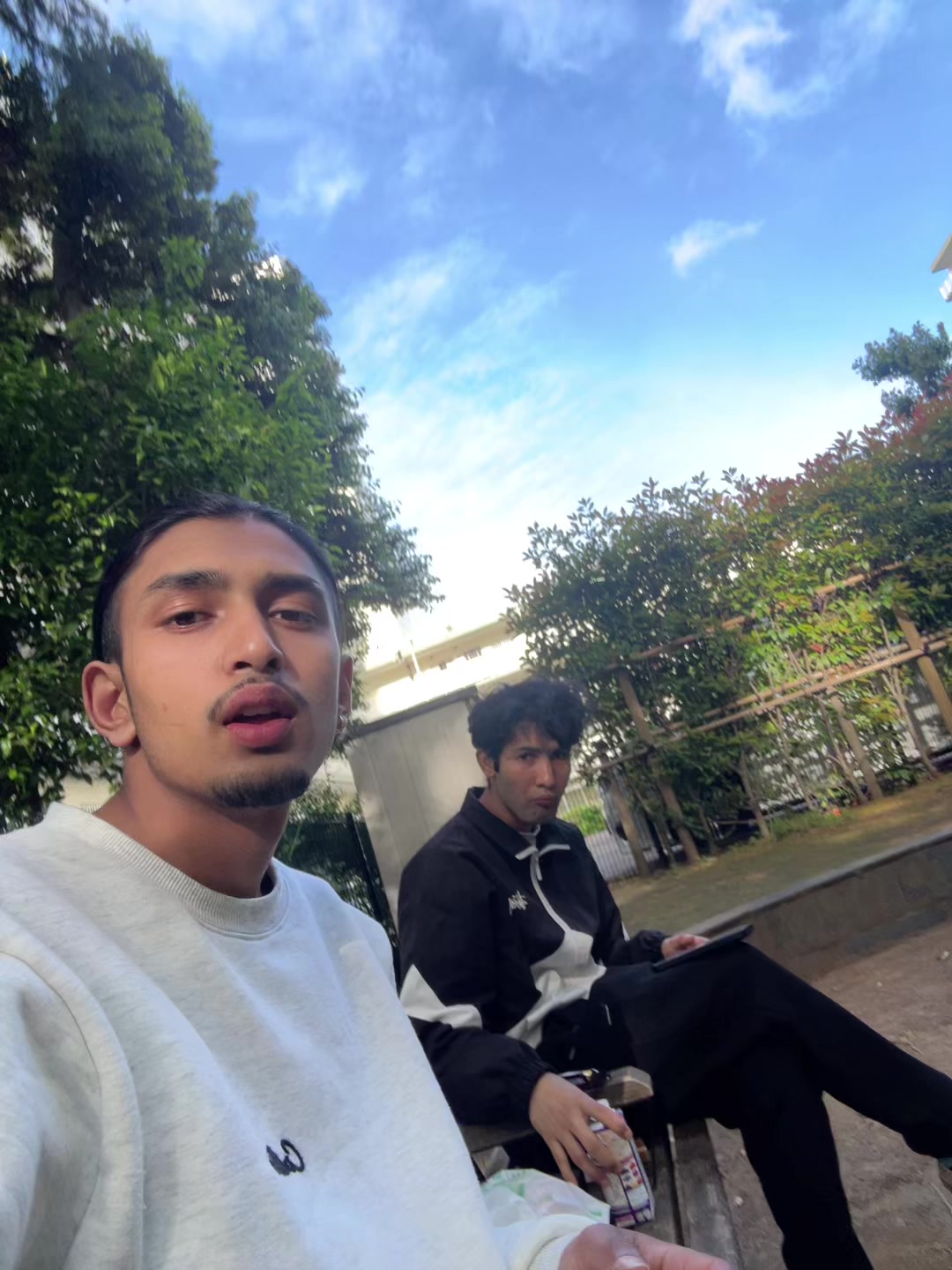 @Nine__lives 🐅