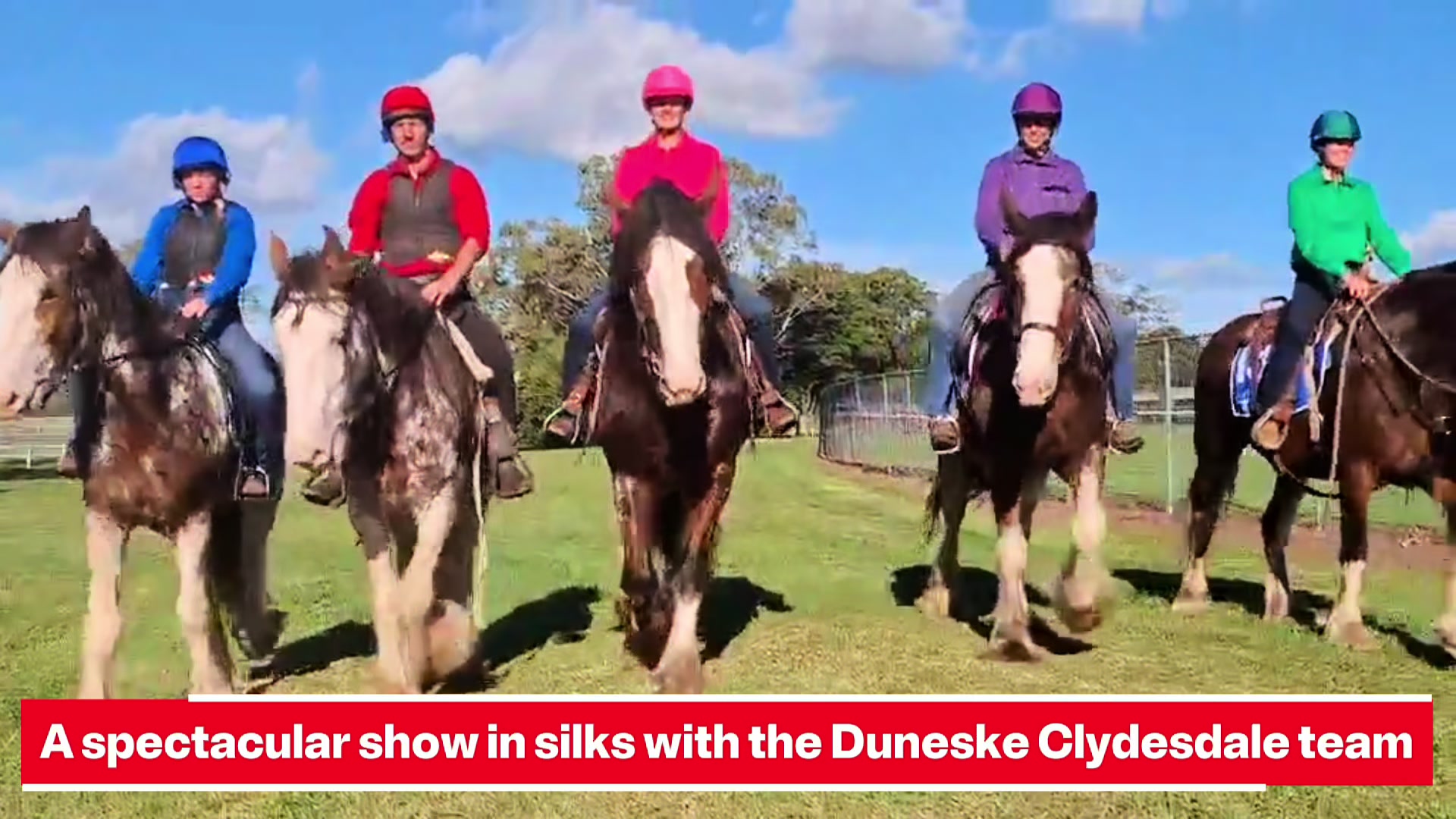 @Duneske Clydesdales