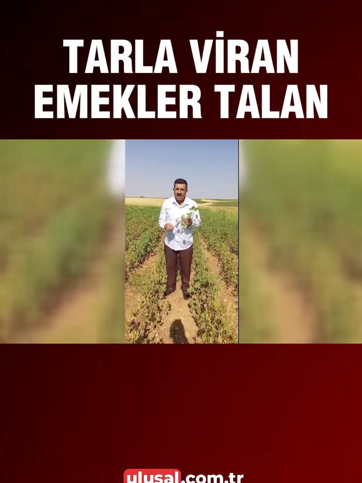 @Ulusal Kanal