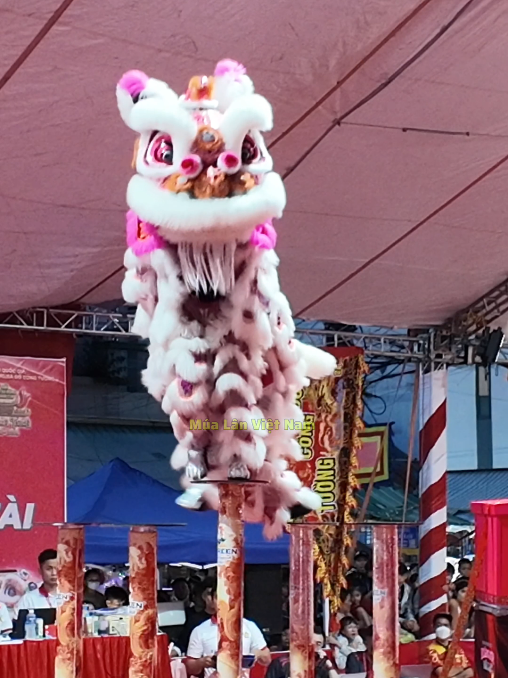 @Múa Lân Việt Nam 🇻🇳