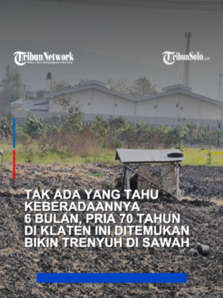 @TribunSolo.com