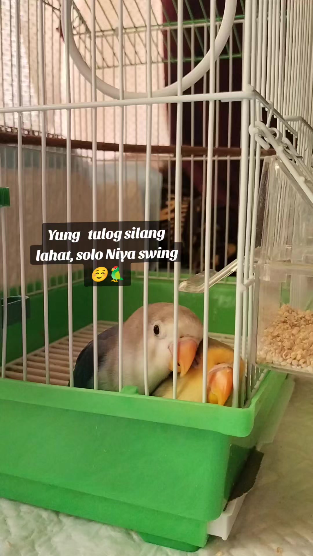@itsMe_vic