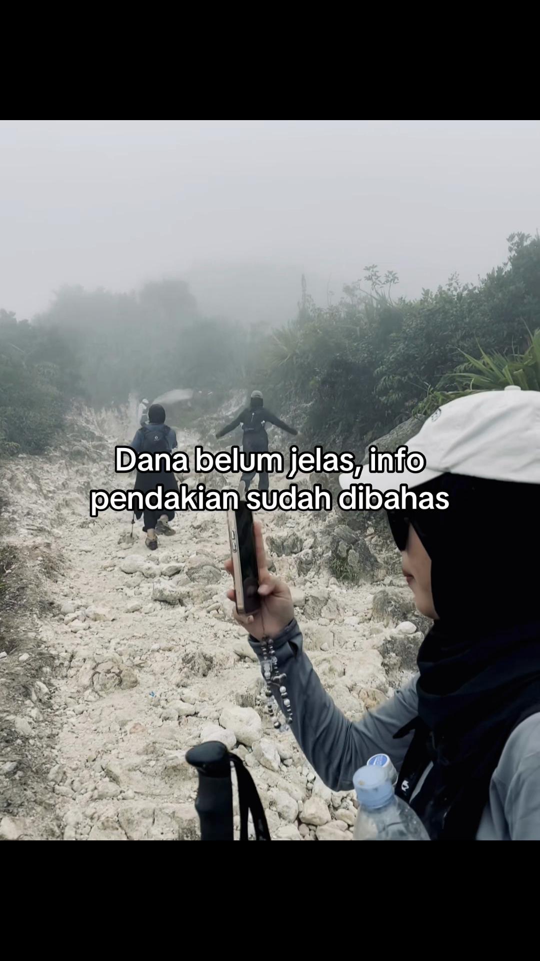 @kitty