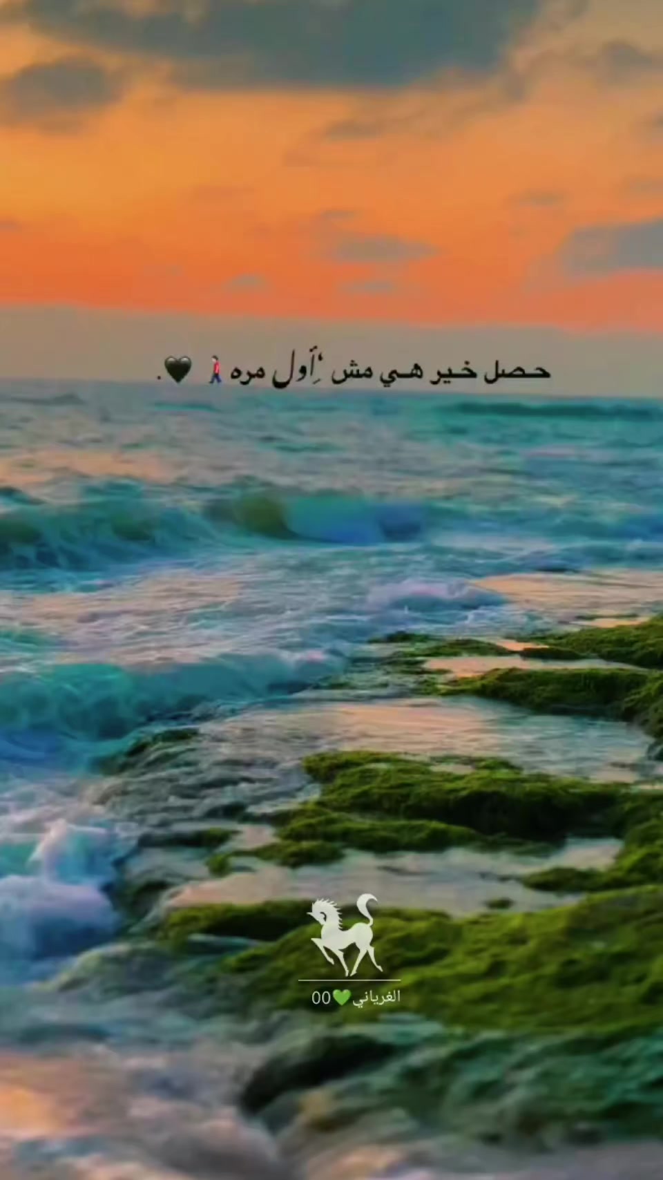 @الغرياني💚00🔥