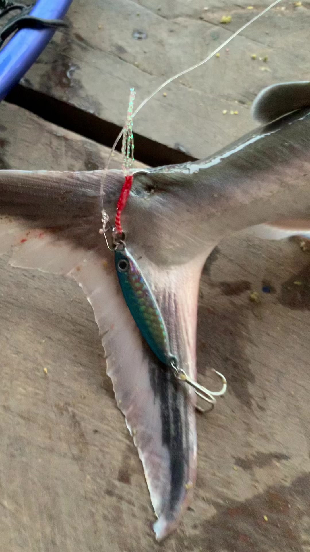 @Dara Fishing(KH)