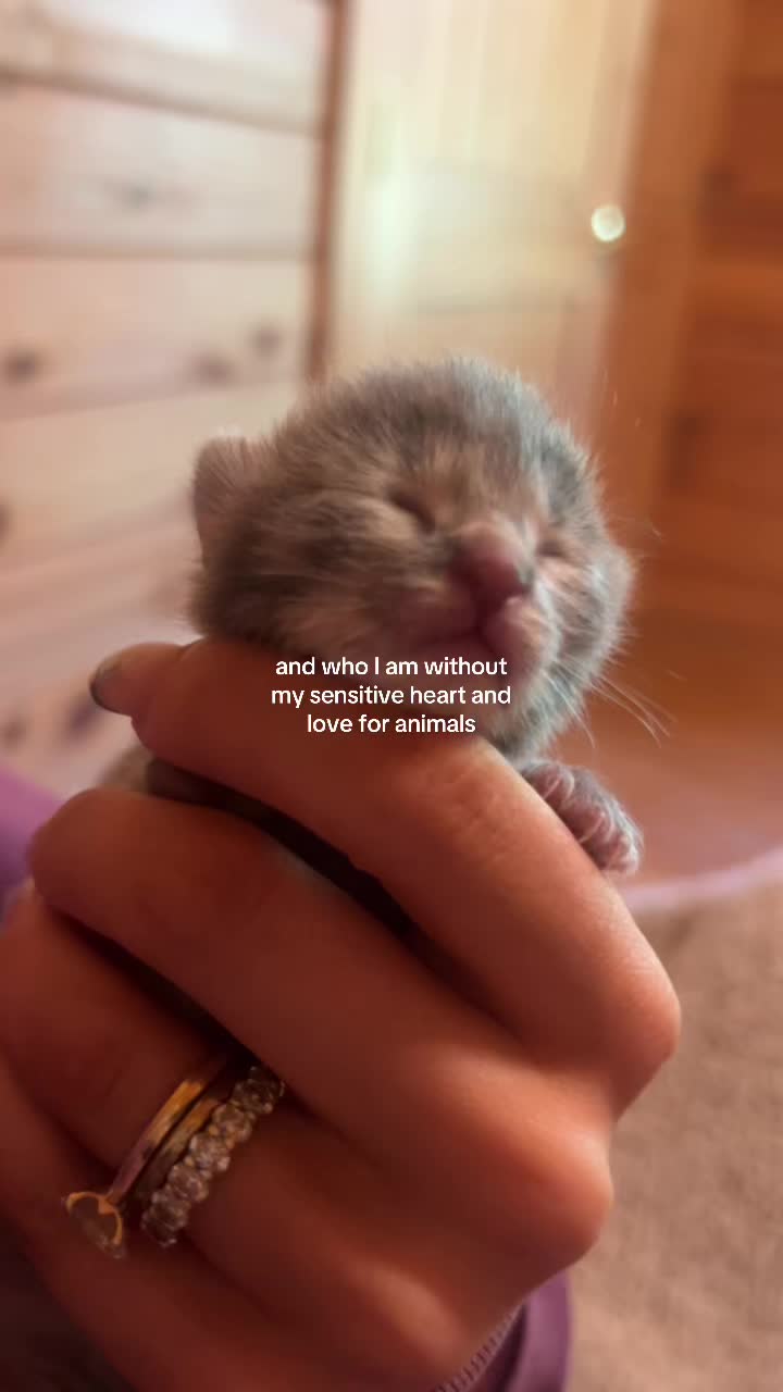@Mikayla Vallati