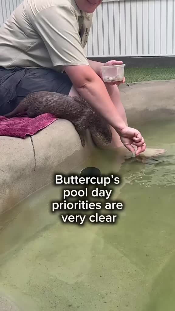 @TanganyikaWildlifePark
