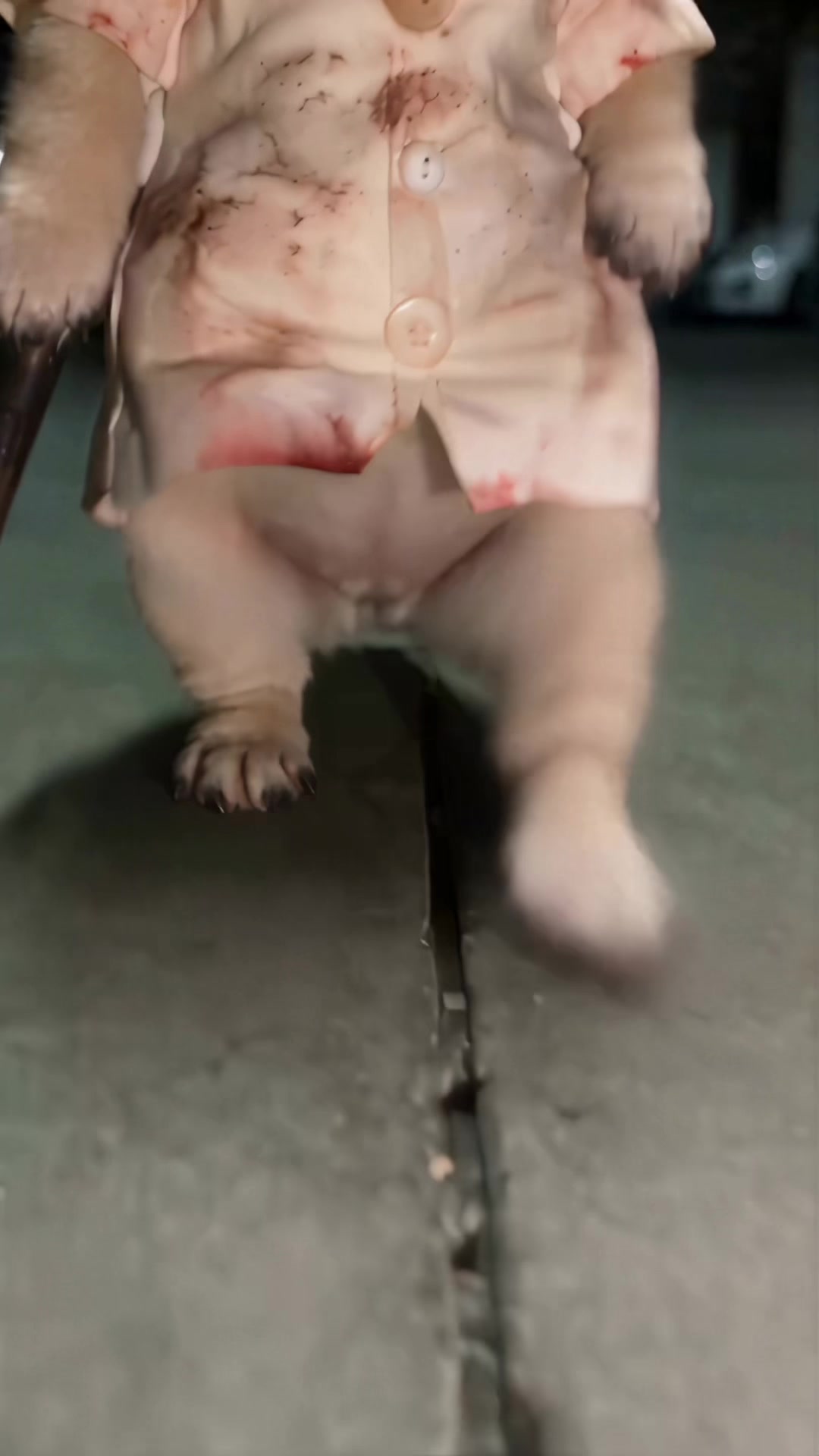 @Lucas The Pug