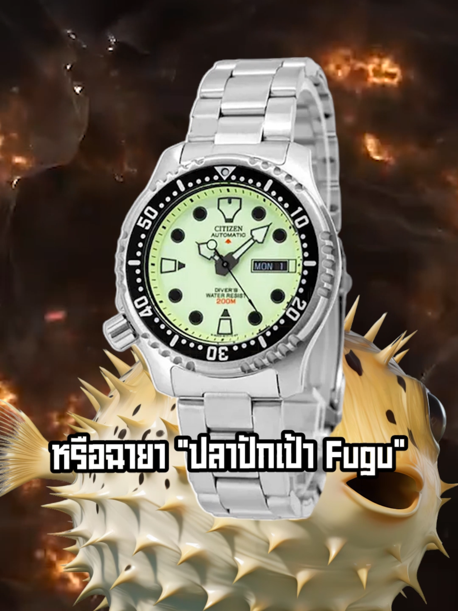 @Shock Shop Thailand
