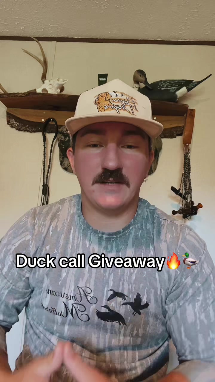 @American Mallard