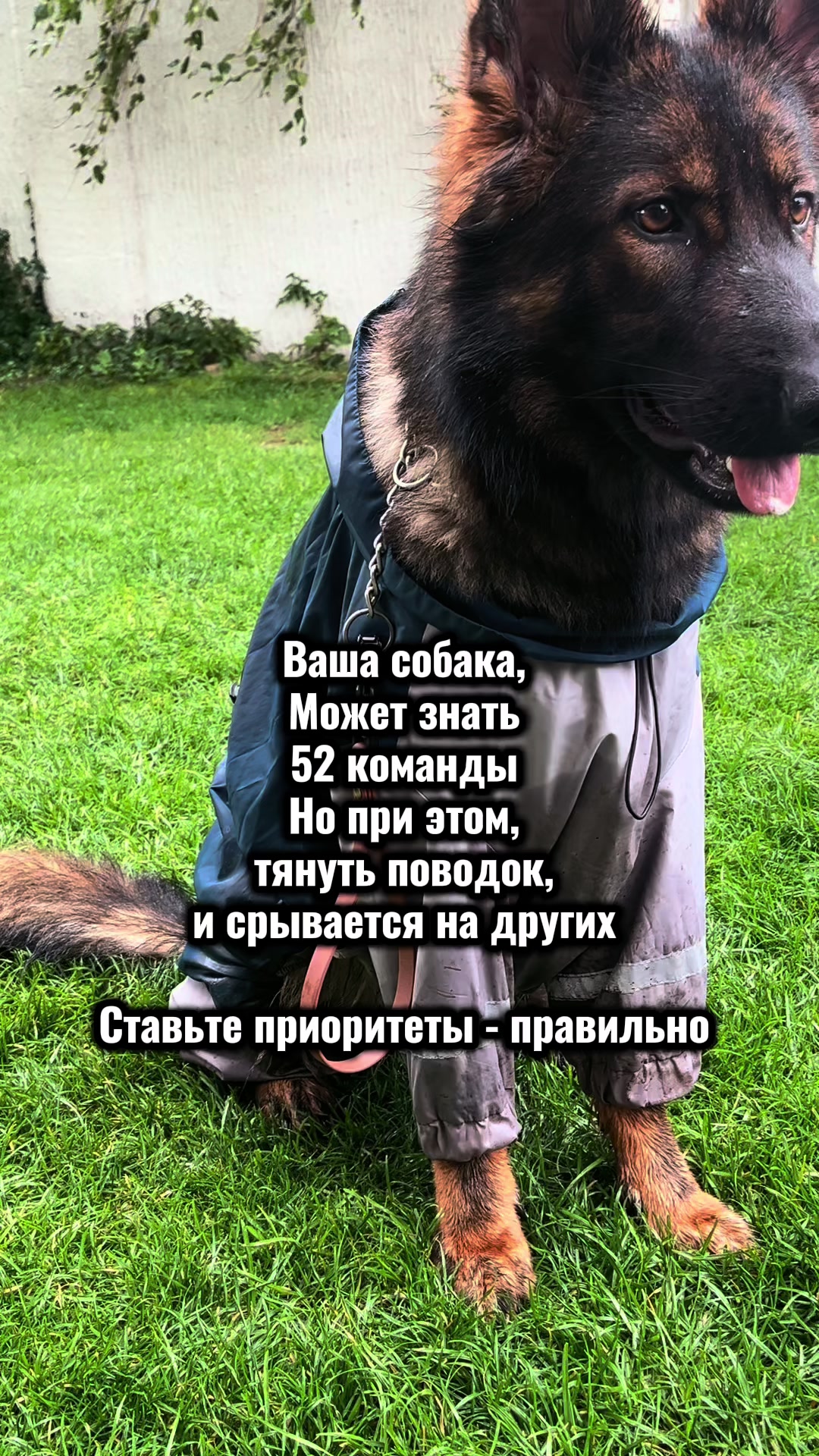 @twoi_kinolog