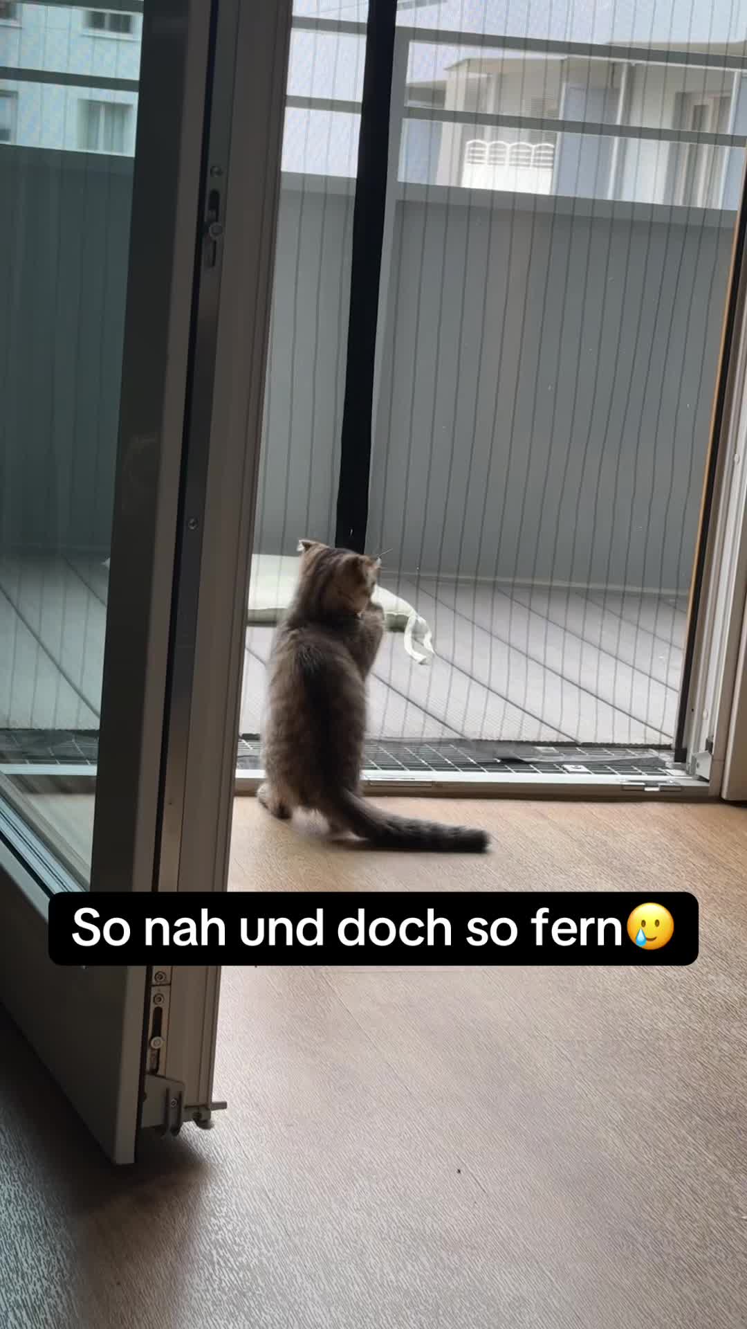 @Divaurteilt